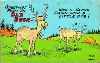 C41 - 4399,  Greetings From An Old Buck.  Comic Postcard.