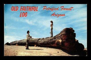 Us Postcard Old Faithful Log Petrified Forest Holbrook Arizona