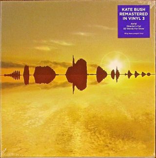 Kate Bush Remastered In Vinyl Iii 3 Box Set 6 - Lp Vinyl