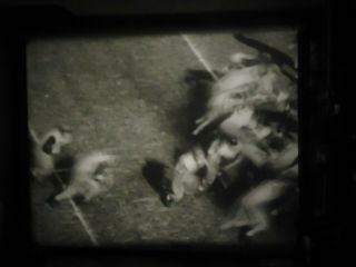 16mm Pete Smith Football Thrills of 1941 MGM Short 5