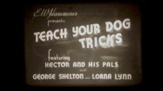 Sterling Films - Teach Your Dog Tricks - 16mm SOUND,  B&W 2