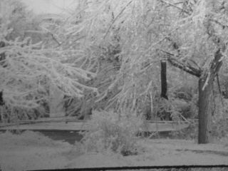 Stunning B&w 16mm Home Movie Film Winter Ice Storm