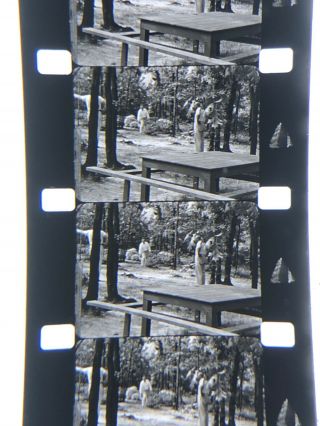 16mm Silent B/W Home Movie Long Island Architects Fishing Trip funny 1939 400” 6