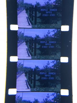 16mm silent Kodachrome Home Movie Kittens,  Niagara Falls,  Halloween Party1966 800” 2