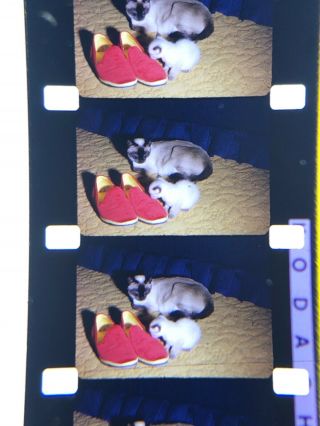 16mm silent Kodachrome Home Movie Kittens,  Niagara Falls,  Halloween Party1966 800” 4