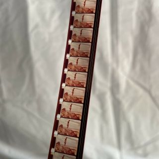 1965 Stuart Whitman 16mm Feature Film “Sands of the Kalahari” 5