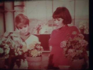 16mm Love on A Rooftop Judy Carne Pete Deuel Rich Little Shella Bromley ABC - TV 4