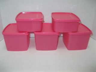 Tupperware Set Of 5 Square Round Freezer Containers 16 Oz & 30 Oz Pink
