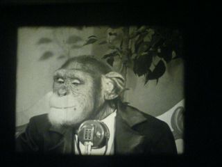 16mm Silent Film - Chimp At The Microphone - " Backstage At The Zoo " - Dumont Network