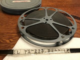 “the Wonder Dogs In Action” 16mm Castle Films B/w Live Action 1940’s 7” Reel