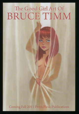 Bruce Timm Naughty And Book Flesk Promotional 4 X 6 Postcard