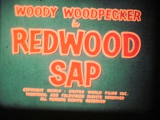 16 mm Color Sound 495 Castle Films Woody Woodpecker Redwood Sap 1951 2