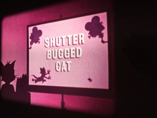 16mm COLOR SOUND - Tom and Jerry Cartoon “SHUTTER BUG CAT” MGM (1967) Complete 4