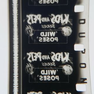 16mm Sound Film,  Our Gang " Wild Poses " (1933) Rare Erko,  Laurel & Hardy Guests