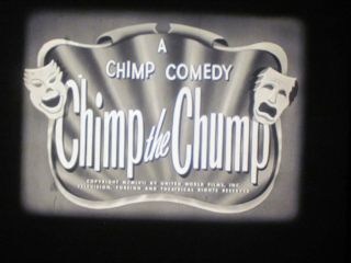 16 Mm B&w Sound 843 1957 Castle Films Chimp The Chump