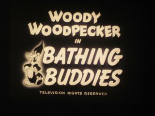 16 Mm B&w Sound Woody Woodpecker Cartoon Bathing Buddies 466 1951