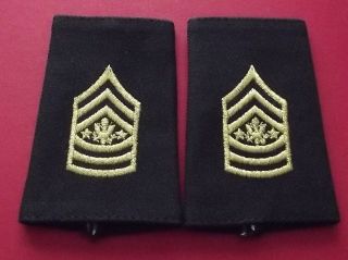 Us Army - Sergeant Major Of The Army Epaulet 1 Pair E - 9 Not E - 10 Last One