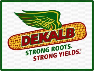 Dekalb Strong Roots 9 " X 12 " Aluminum Sign