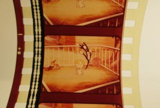 35mm film TEX AVERY cartoon THE CAT THAT HATED PEOPLE 1948 fred quimby MGM color 4