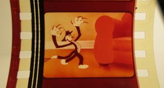 35mm film TEX AVERY cartoon THE CAT THAT HATED PEOPLE 1948 fred quimby MGM color 5
