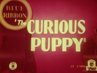 16 Mm Cartoon: " The Curious Puppy " 1939