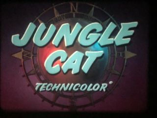 16mm Disney True Life Feature Jungle Cat 1959 Tech Print