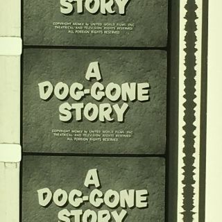 16mm Film A Dog Gone Story1959 Castle Films Print Cute Dog Story