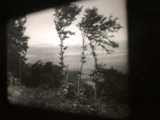 16mm B&w Sound - “the Secrets Of Nature” (1940’s) - 400’ Reel British - Pathe