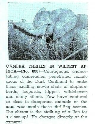 16mm Silent Camera Thrills In Wildest Africa From Castle Films Home Movies