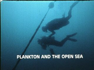 Plankton And The Open Sea - 16mm Sound - Color - 20min