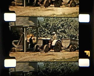 16mm Home Movie 1941 Wayne County,  Ny Farming Scenes