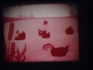 16mm Duck Soup to Nuts Daffy Duck Porky Pig Cartoon 5