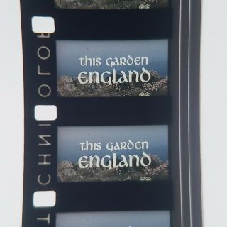 16mm Sound Film,  This Garden England (1963) Ib Tech,  Rare,  Award Winning Docu