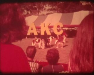 Vintage 16mm Movie Akc & The Sport Of Dogs