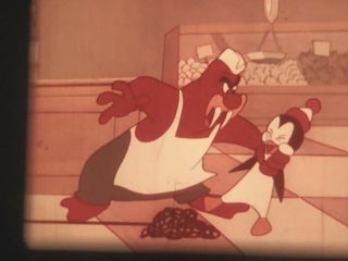 16mm Cartoon Chilly Willy In " Cash And Caryy " With Live Action