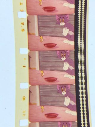 16mm Sound Color Theatrical cartoon Downhearted Duckling Tom&Jerry vg 1954 400” 4