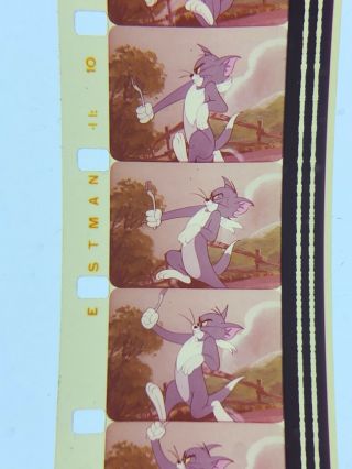 16mm Sound Color Theatrical cartoon Downhearted Duckling Tom&Jerry vg 1954 400” 6