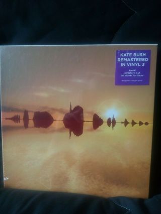 Kate Bush Remastered In Vinyl 3 3 X Vinyl Box Set And Uk Post