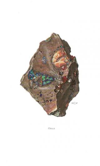 Art Print Old Map School Affiche Papier Minéraux Géologie N61 Opale Mexique