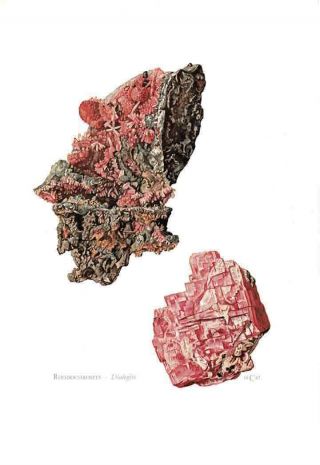 Art Print Old Map School Affiche Papier Minéraux Géologie N85 Rhodochrosite