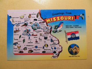 Greetings From Missouri State Map Vintage Postcard State Flag Bird Flower