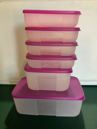 Tupperware Freezer Mates Set Of 6 Sheet Containers With Raspberry Seals