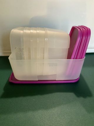 Tupperware Freezer Mates Set Of 6 Sheet Containers With Raspberry Seals 2