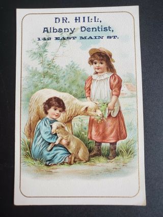 Trade Card Dr.  Hill,  Albany Dentist - Young Girls Feeding Grown And Baby Sheep