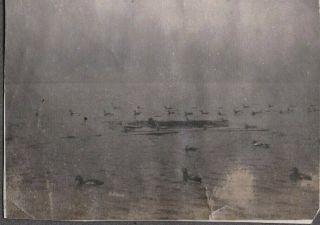 Vintage Photograph 1906 Decoys Shotguns Ducks/geese Hunting Blind York Photo