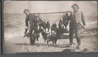 Vintage Photograph 1906 - 20 Shotguns Ducks/geese/birds Hunting York Old Photo