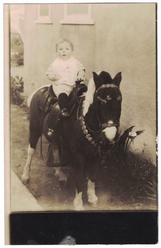Vintage Photo Of Cute Little Boy On Shetland Pony - 3.  5 X 5.  5 Postcard Size.