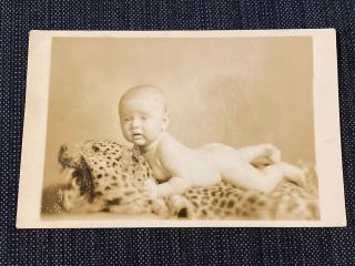 Baby On Cheetah Rug Studio Vintage 1930s Rppc Real Photo Post Card