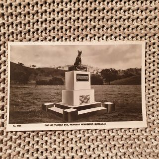 Dog On The Tucker Box,  Gundagai - Vintage Real Photo Postcard