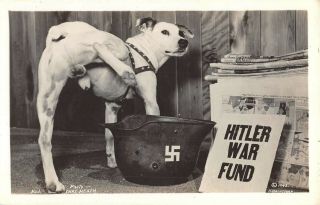 Bull Dog Peeing On Hitler Helmit Vintage Wwii Real Photo Postcard Rppc Am102